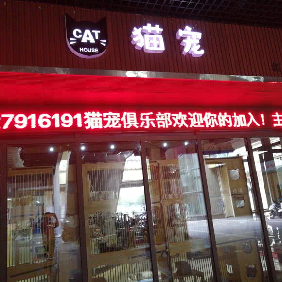 猫宠:无锡市江阴市澄江街道附近