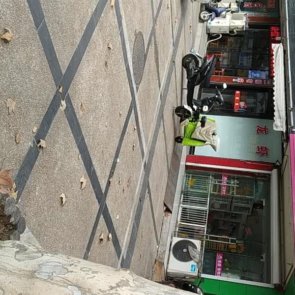 宠道宠物馆:无锡市江阴市澄江街道附近