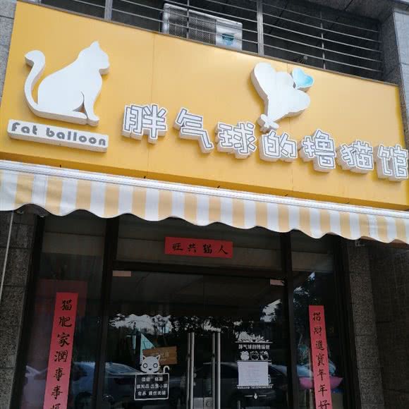 胖气球的撸猫馆:无锡市江阴市澄江街道附近