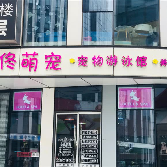小佟萌宠·宠物游泳馆:北京城区朝阳区三里屯/工体附近