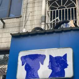 爱贝尔宠物诊所(江阴花园店):无锡市江阴市澄江街道附近