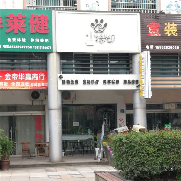 小拾光宠物诊所:无锡市江阴市澄江街道附近