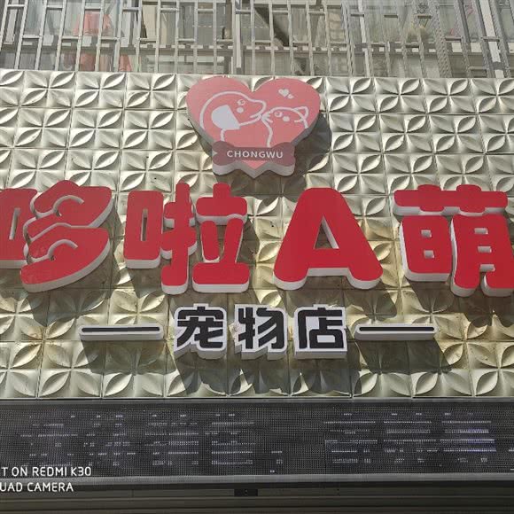 哆啦A萌宠物店:无锡市宜兴市宜城街道附近