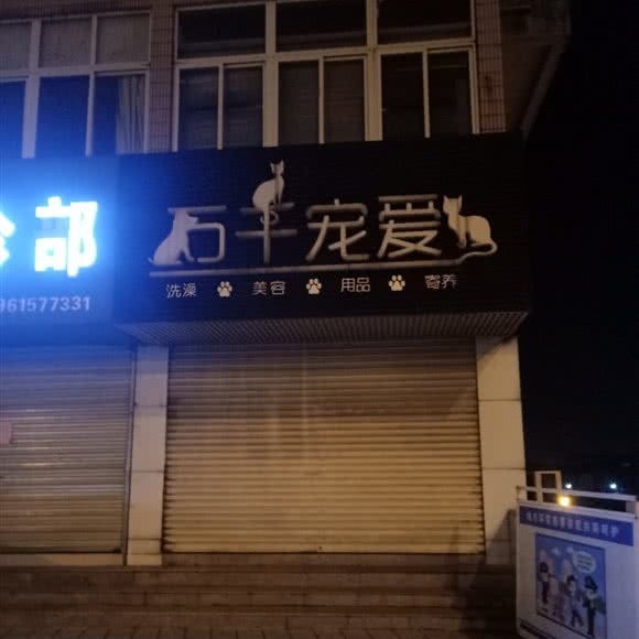 石羊宠爱:无锡市宜兴市宜城街道附近