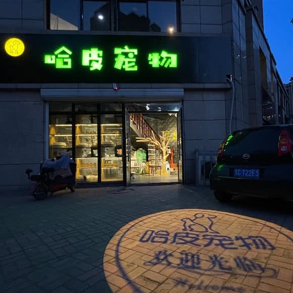 哈皮宠物:徐州市鼓楼区马场湖附近