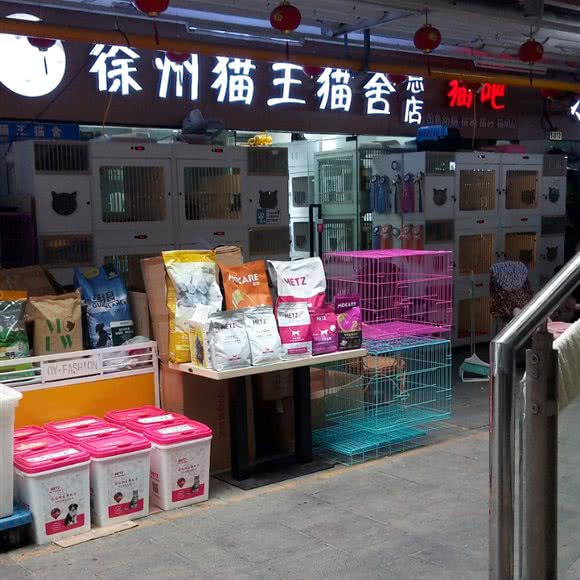 徐州猫王猫舍(总店):徐州市鼓楼区和信广场附近