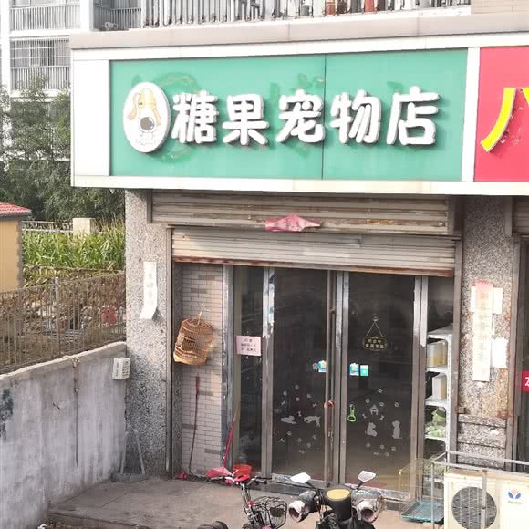糖果宠物店:徐州市鼓楼区祥和小区附近