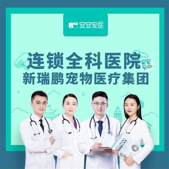 安安宠医(春泽园分院):徐州市鼓楼区祥和小区附近