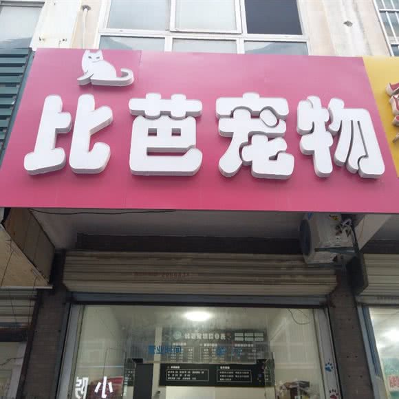 比芭宠物店:徐州市鼓楼区九龙湖附近