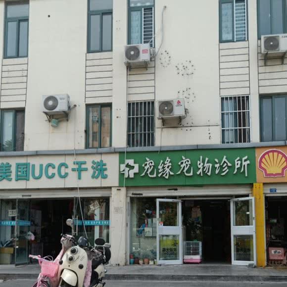 宠缘宠物诊所:徐州市鼓楼区九龙湖附近
