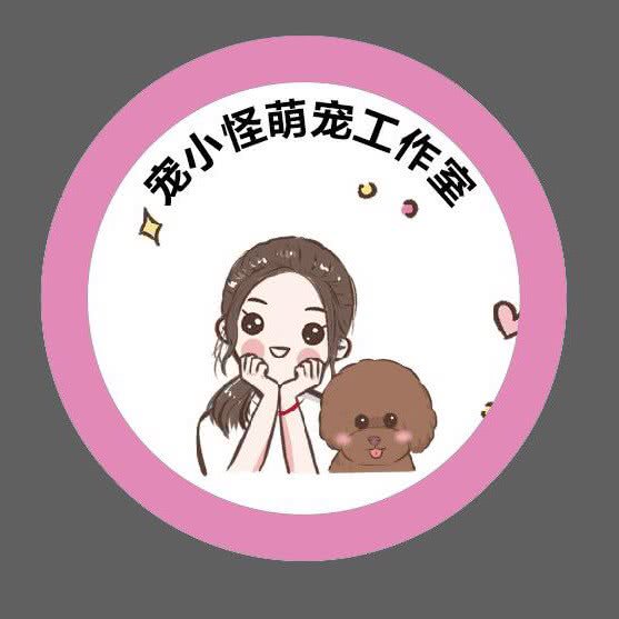 宠小怪萌宠工作室:徐州市鼓楼区北路口附近