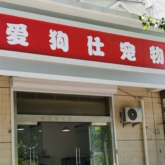 爱狗仕宠物:徐州市鼓楼区金山桥附近