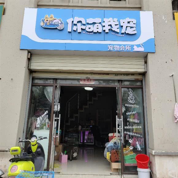 你萌我宠:徐州市鼓楼区金山桥附近