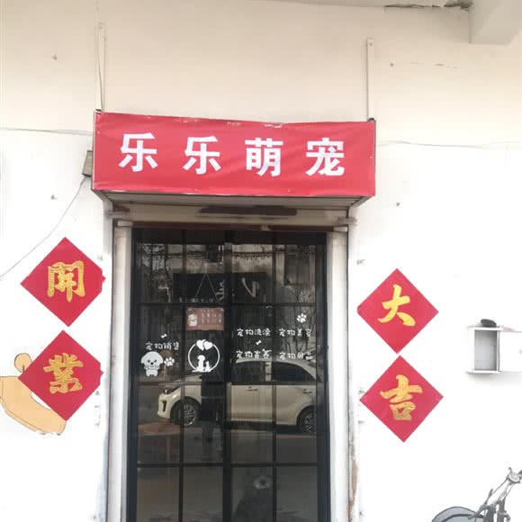 乐乐萌宠:徐州市鼓楼区杨庄附近