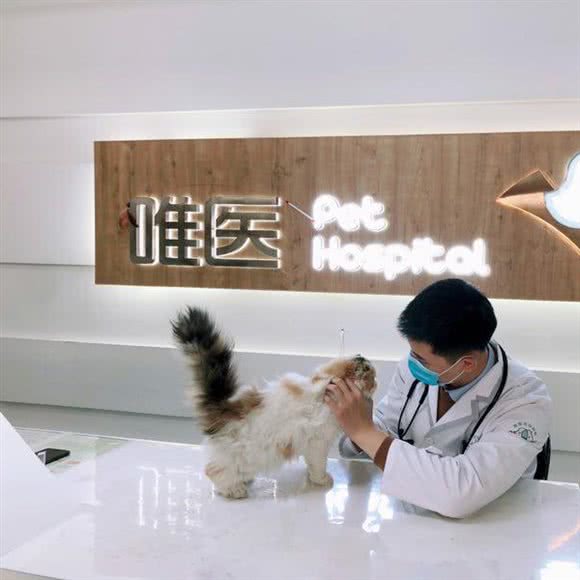 唯医宠物医院(万科店):徐州市鼓楼区九里附近