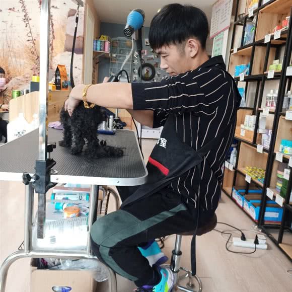 乔小宠宠物美容工作专营店:徐州市云龙区万达广场附近