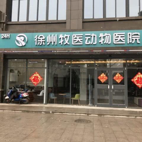 徐州牧医动物医院·心脏彩超·高压氧舱:徐州市云龙区万达广场附近