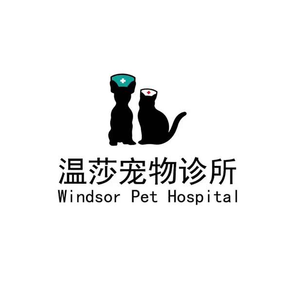 温莎宠物诊所:徐州市云龙区万达广场附近