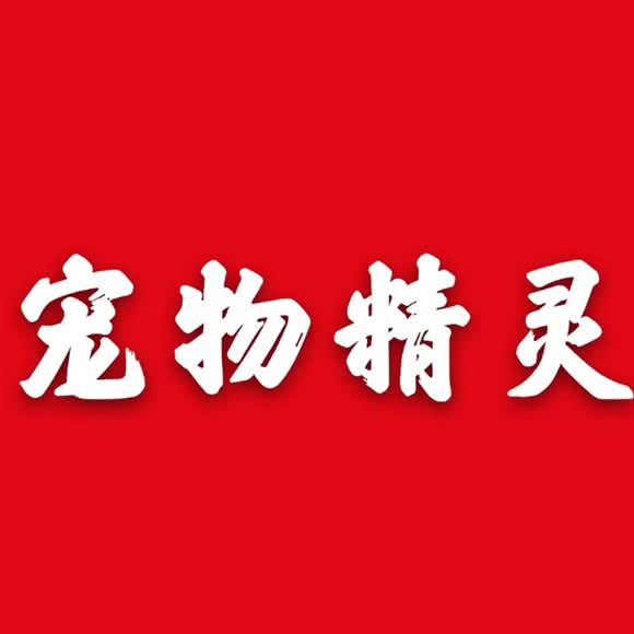 宠物精灵:徐州市云龙区绿地世纪城附近