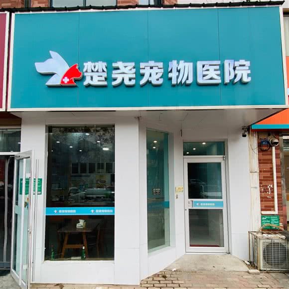 楚尧宠物医院:徐州市云龙区绿地世纪城附近