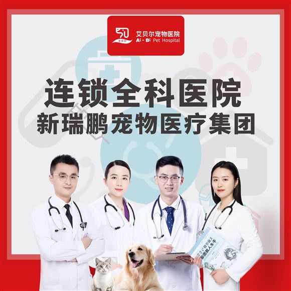 艾贝尔宠物医院(民主南路分院):徐州市云龙区袁桥附近