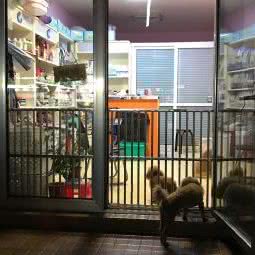 风靡一时宠屋:北京城区通州区梨园附近