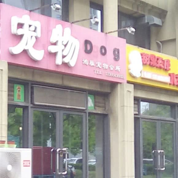 宠物dog:北京城区通州区梨园附近