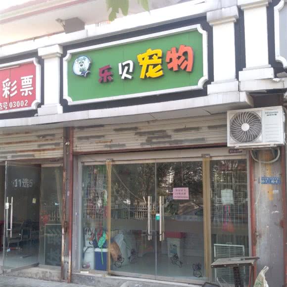 乐贝宠物:徐州市贾汪区贾汪区附近