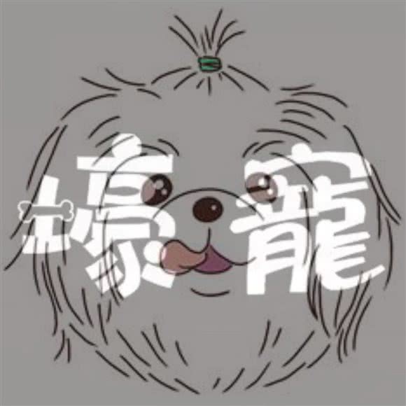 壕寵·玛尔济斯·约克夏(永利国际店):北京城区朝阳区三里屯/工体附近