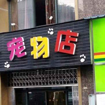 一休家的宠屋:徐州市泉山区夹河街附近