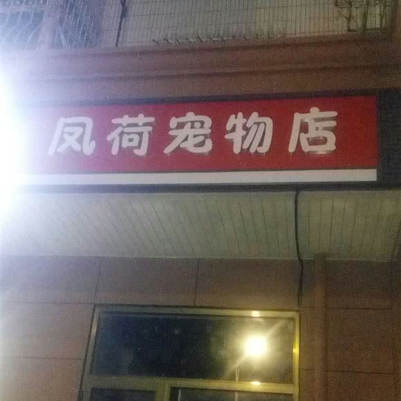 凤荷宠物店:北京城区通州区梨园附近