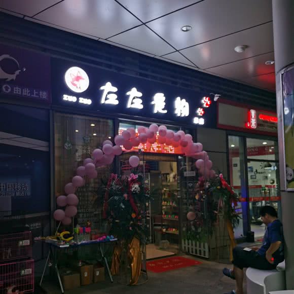 左左宠物:徐州市泉山区矿业大学附近