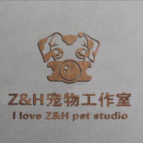 Z&H 高端宠物工作室:徐州市泉山区矿山东路附近