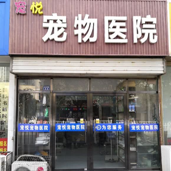 宠悦宠物医院:徐州市铜山区新区师大附近