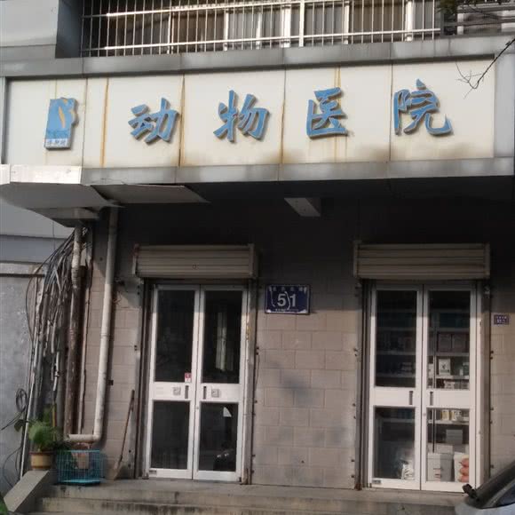博斯特动物医院:徐州市铜山区新区师大附近
