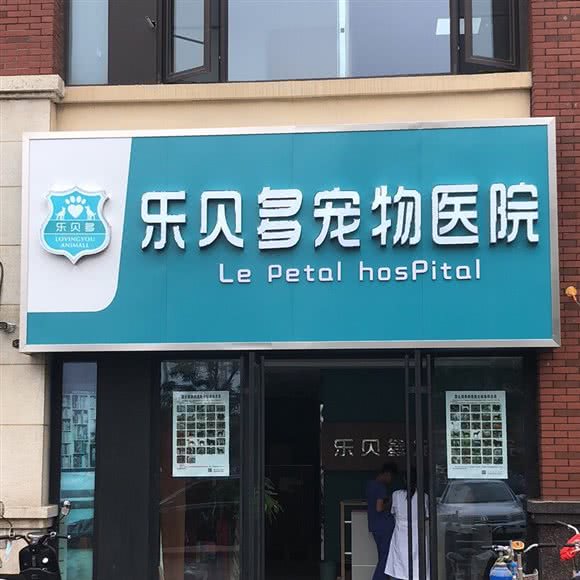 乐贝多宠物医院:徐州市铜山区新区师大附近