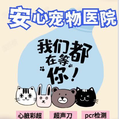 安心宠物医院(猫专科医院)(铜山万达店):徐州市铜山区铜山万达广场附近