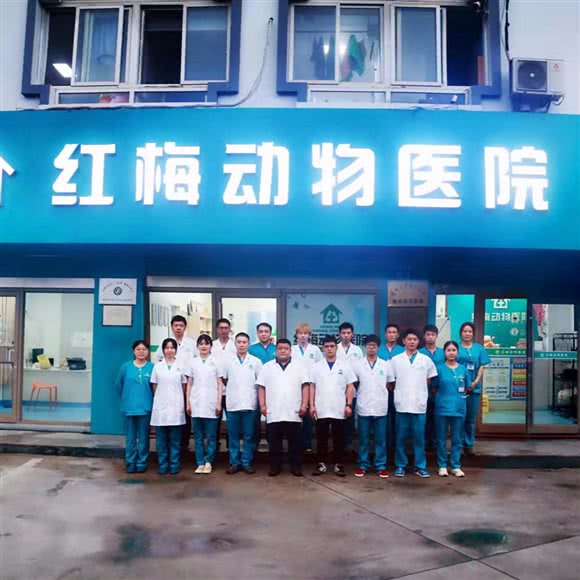 红梅动物医院24小时:常州市天宁区常州火车站附近