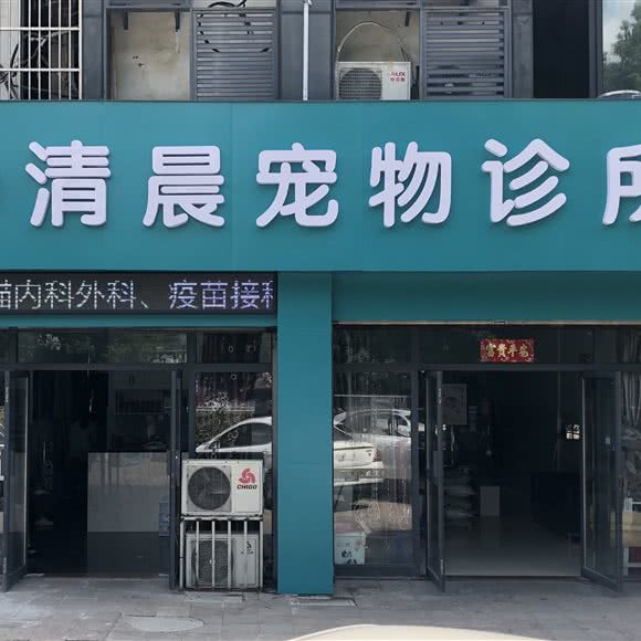 阳光清晨宠物医院:常州市天宁区九洲新世界附近