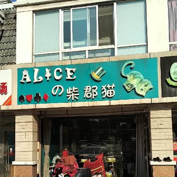 ALICEの柴郡猫:常州市天宁区劳动西路附近