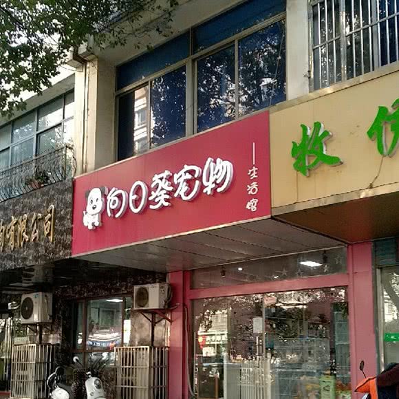 向日葵宠物(文化宫店):常州市天宁区清凉附近