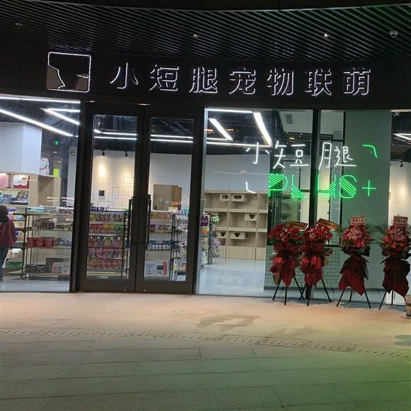 小短腿宠物联萌(文化广场店):常州市天宁区晋陵中路附近