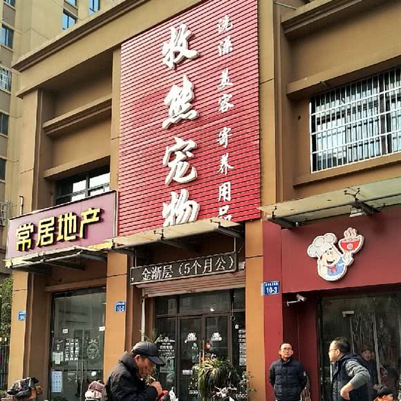 牧熊宠物:常州市天宁区丽华附近