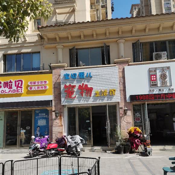 宝贝蛋儿宠物生活馆:常州市天宁区中吴大道附近