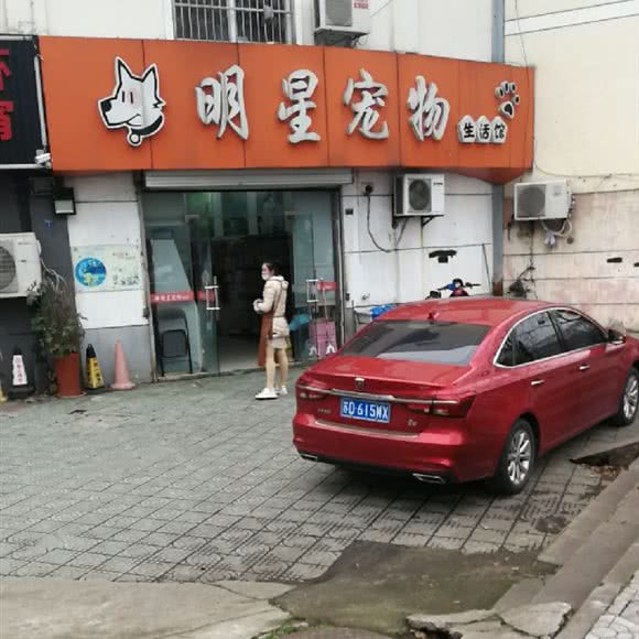 明星宠物店:常州市钟楼区勤业附近