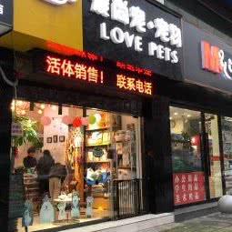 爱尚宠 宠物:常州市钟楼区清潭附近