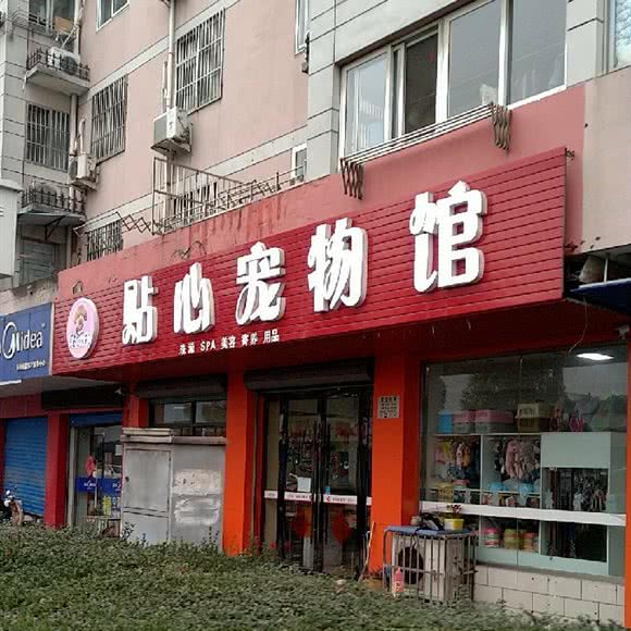 贴心家族宠物健身馆:常州市钟楼区清潭附近