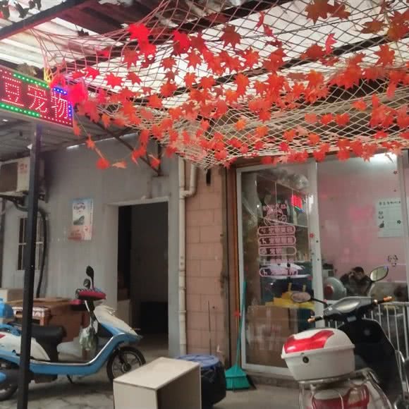 蒙豆宠物:常州市钟楼区清潭附近