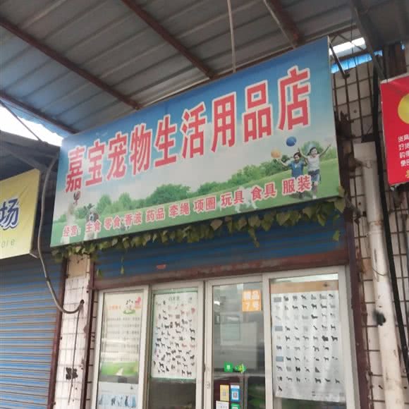 嘉宝宠物生活用品店:常州市钟楼区清潭附近