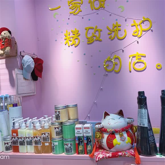 向日葵宠物:常州市钟楼区广化街附近